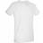 Stedman Ben V-neck T-shirt - White