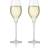 Aida Passion Connoisseur Champagne Glass 26.5cl 2pcs