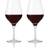 Aida Passion Connoisseur Red Wine Glass 64.5cl 2pcs