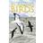 Complete Field Guide to Ireland's Birds (Paperback, 2010)
