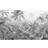 Komar Amazonia Black & White (P013-VD4)