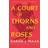 A Court of Thorns and Roses (Paperback, 2020)