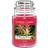 Yankee Candle Tropical Jungle Large Scented Candle 623g
