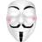 Adults Vendetta Anonymous Fawkes Mask