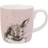 Royal Worcester Wrendale Designs Bathtime Rabbit Mug 40cl