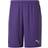 Puma teamGOAL 23 Knit Shorts Men - Prism Violet
