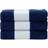 A&R Towels Subli-Me Bath Towel Blue (100x50cm)
