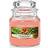 Yankee Candle The Last Paradise Small Scented Candle 104g