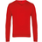 Premier V-Neck Knitted Sweater - Red