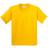 Gildan Heavy Cotton T-Shirt Pack Of 2 - Daisy (UTBC4271-31)