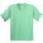 Gildan Heavy Cotton T-Shirt Pack Of 2 - Mint Green (UTBC4271-161)