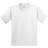 Gildan Heavy Cotton T-Shirt Pack Of 2 - White (UTBC4271-146)