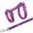 Trixie Harness with Leash
