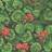 Cole & Son Geranium Wallpaper Seville Collection Rouge & Leaf Greens on Black Roll