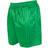 Precision Continental Striped Football Shorts Unisex - Green
