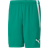 Puma TeamLIGA Short Men - Green