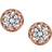 Montana Silversmiths Sunlit Lucky Water Horseshoe Earrings - Rose Gold/Transparent
