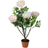 Northlight Peony Flower Plant with Pot