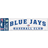 WinCraft Toronto Blue Jays Arch Perfect Cut Decal