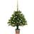 vidaXL Artificial with LEDs&Ball Set 65 cm Green Christmas Tree