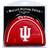 Team Golf Indiana Hoosiers Mallet Putter Cover