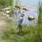 Design Toscano Gray Heron Coastal Bird Statue Figurine