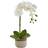 Nearly Natural Artificial Phalaenopsis Orchid in Ceramic Pot
