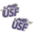 Cufflinks Inc University of Sioux Falls Cufflinks - Silver/Purple/Yellow