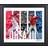 Fanatics Los Angeles Angels Shohei Ohtani Framed Player Panel Collage