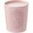 Diptyque Roses Scented Candle 600g