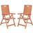 Safavieh Rence 2-pack Garden Dining Chair