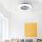 Paul Neuhaus ceiling fan gray incl.