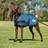 Weatherbeeta 65cm, Dark Blue Comfitec Classic Parka Dog Coat