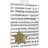 Silver & Gold Star & Stripes Birthday Gift Wrap Wrapping Paper x 2 with Tags