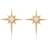 Mini Star Burst Stud Earrings Rosegold