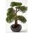 Homescapes Artificial Bonsai Tree Artificial Plant