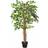 Homescapes Variegated Artificial Plant