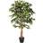 Homescapes Ficus Tree Artificial Plant with Twisted Real Wood Stem, 4 Artificial Plant