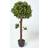 Homescapes One Ball Bay Topiary Tree 3 Feet Plant Artificial Plant