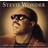 Stevie Wonder Definitive Collection (CD)