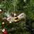 Silver Wings Gisela Graham Bumble Christmas Tree Ornament