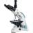 Levenhuk 900T Trinocular Microscope Mikroskop