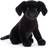 Jellycat Pippa Black Labrador 24cm