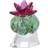 Swarovski Crystal Flowers Bordeaux Cactus Figurine