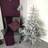 Samuel Alexander 5ft Frosted Grandis Fir Christmas Tree