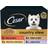 Cesar Country Stew Kitchen Dog Food Trays Special Selection in Gravy 24x150g