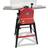 Lumberjack 254mm Professional Planer Thicknesser With Leg Stand