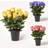Homescapes Set of 3 Artificial Rosebuds with Gypsohila Grave Vase