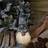 Samuel Alexander 30cm Grey Christmas Up Gnome Figurine