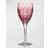 Waterford Wonders Crystal Wine Glass